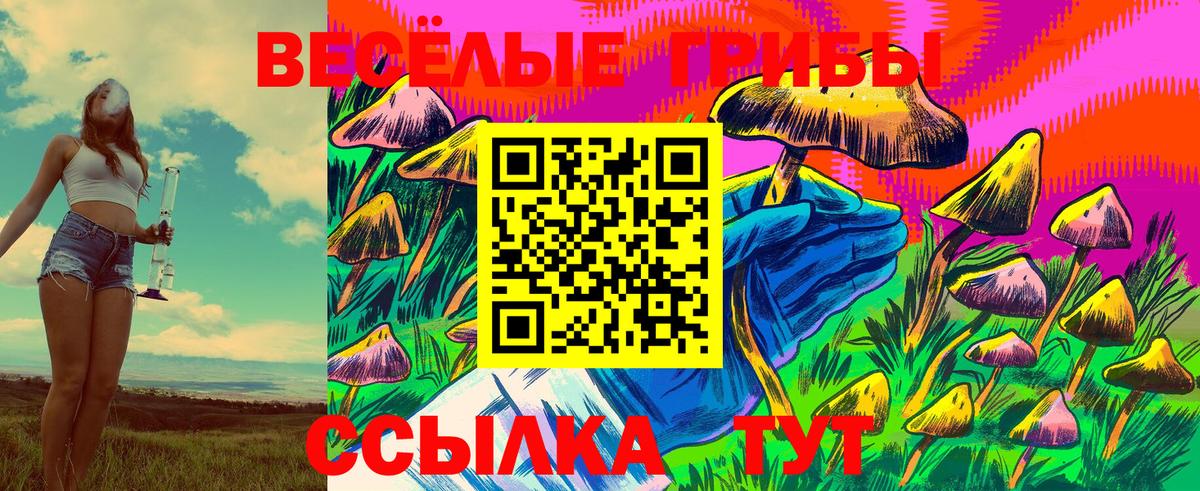Псилоцибиновые грибы Magic Shrooms  Вход с VPN  Луга 